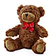 Adorable Plush Bear – KRISTINA'S BASKETS AND BOUQUETS, Smithfield NC