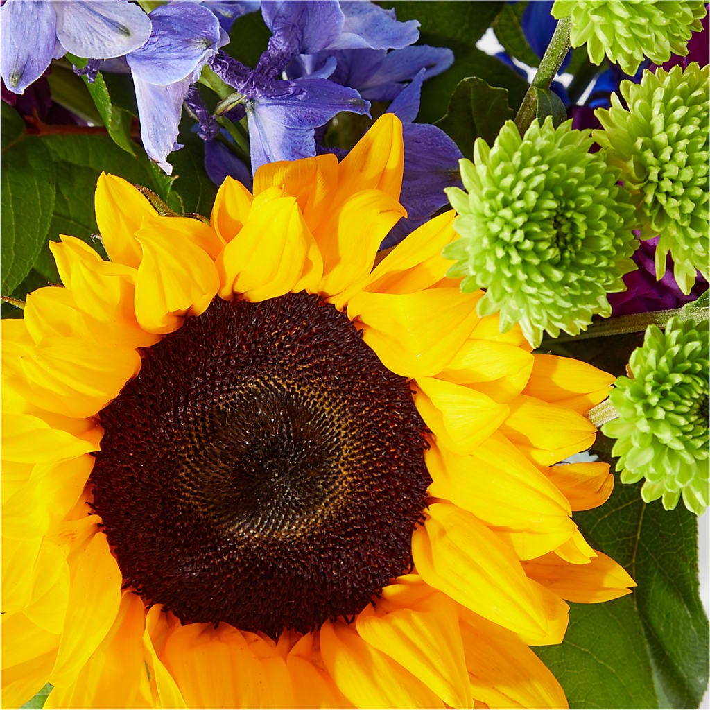 Catching Rays Bouquet – KRISTINA'S BASKETS AND BOUQUETS, Smithfield NC
