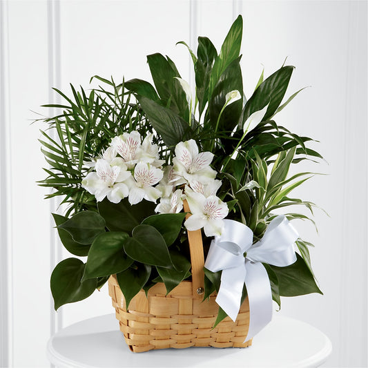Peace & Serenity Dishgarden – KRISTINA'S BASKETS AND BOUQUETS, Smithfield NC