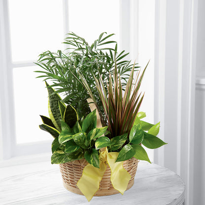 French Garden – KRISTINA'S BASKETS AND BOUQUETS, Smithfield NC