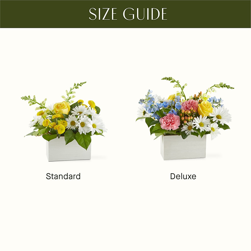 Sun Salutation Box Bouquet – KRISTINA'S BASKETS AND BOUQUETS, Smithfield NC