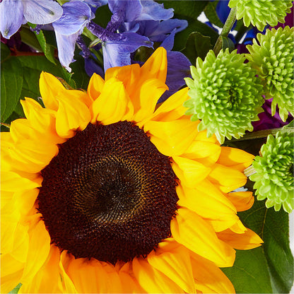 Catching Rays Bouquet – KRISTINA'S BASKETS AND BOUQUETS, Smithfield NC
