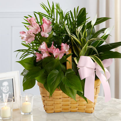 Living Spirit Dishgarden – KRISTINA'S BASKETS AND BOUQUETS, Smithfield NC