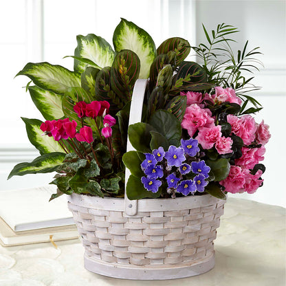 Peaceful Garden Planter – KRISTINA'S BASKETS AND BOUQUETS, Smithfield NC