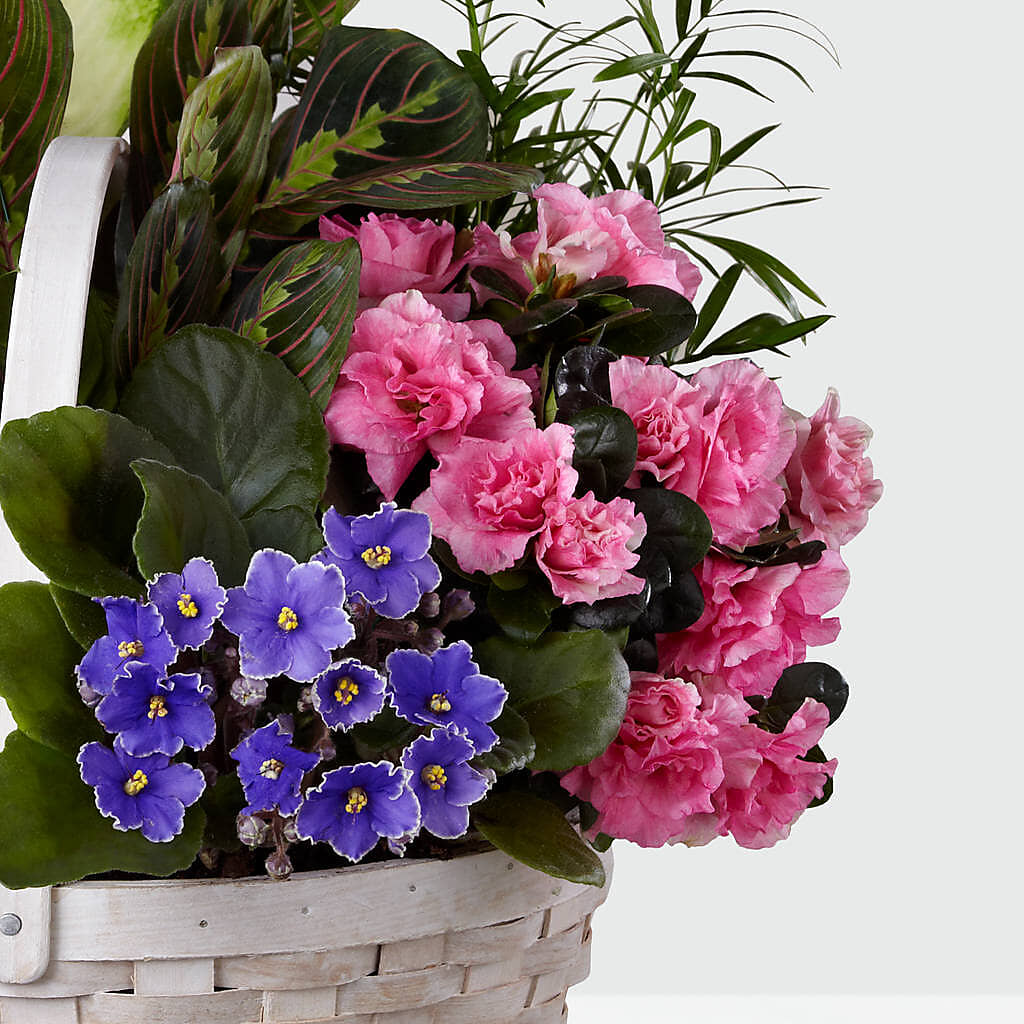 Peaceful Garden Planter – KRISTINA'S BASKETS AND BOUQUETS, Smithfield NC