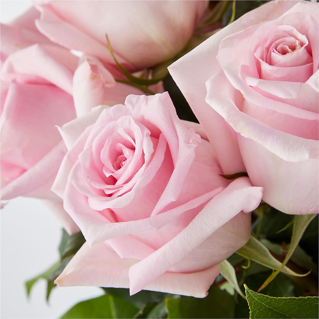 Picture Perfect Pink Rose Bouquet – KRISTINA'S BASKETS AND BOUQUETS, Smithfield NC