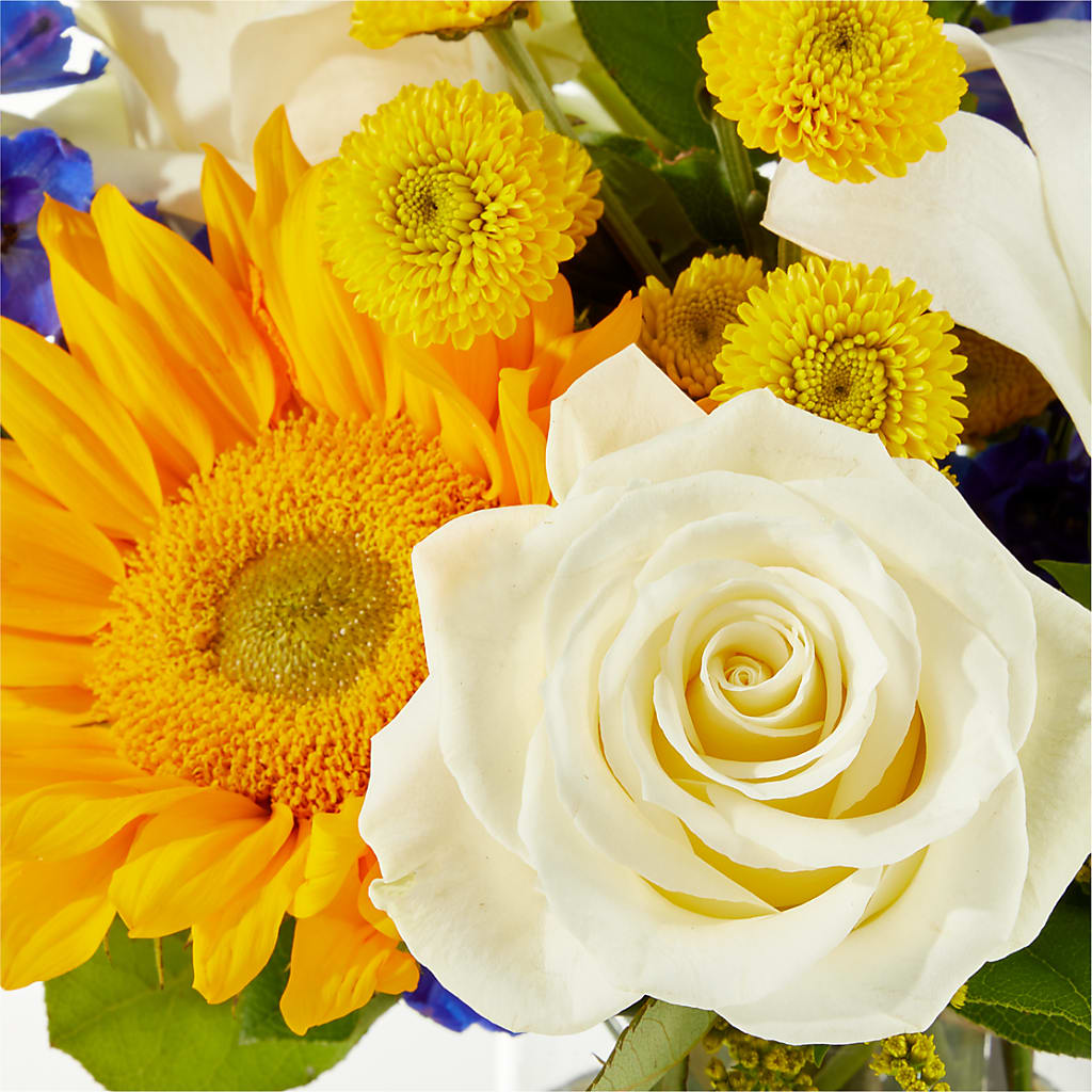 Stargazing Bouquet – KRISTINA'S BASKETS AND BOUQUETS, Smithfield NC